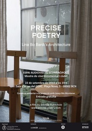 Precise Poetry (Poster)